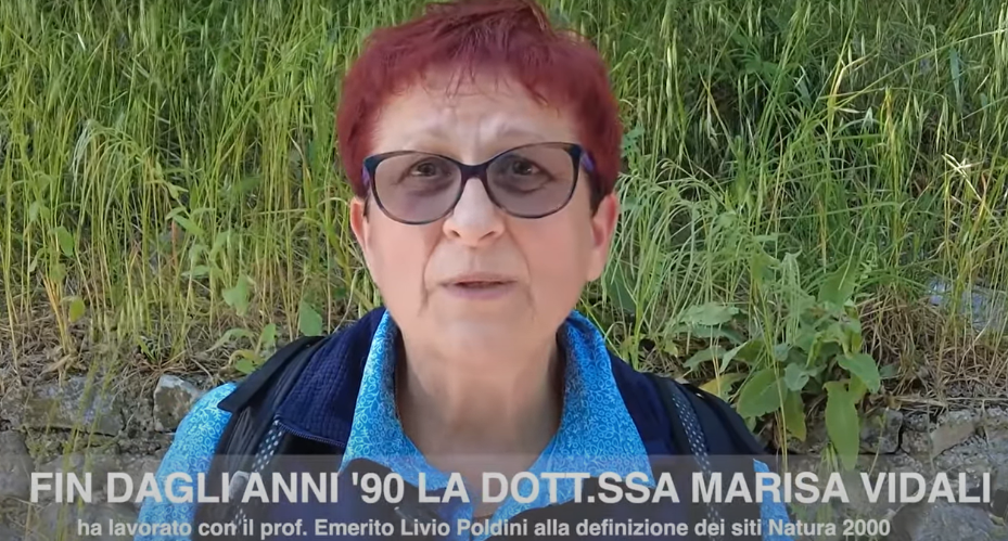 Aspetti vegetazionali – dott.ssa Marisa Vidali